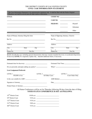 Galveston County Civil Case Information Statement