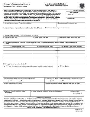 Employer's Supplementary Report Form LS-210