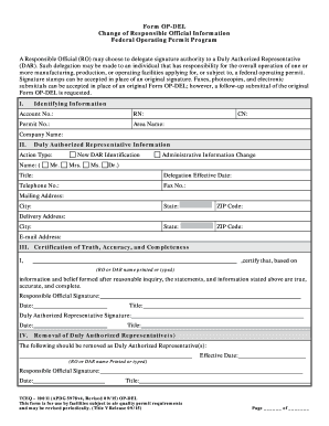 Texas Delegation of Responsible Official Form