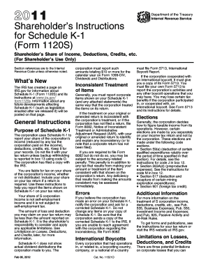 Shareholder’s Instructions for Schedule K-1 (Form 1120S)