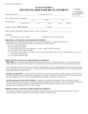 Georgia Financial Disclosure Statement