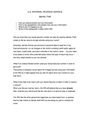 IRS Identity Theft Protection Guide