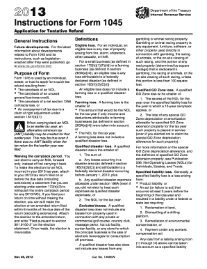 Instructions for Form 1045