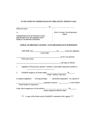 Pennsylvania Driver's License Appeal Form