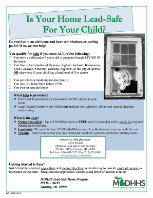 Michigan Lead Safe Home Program Application