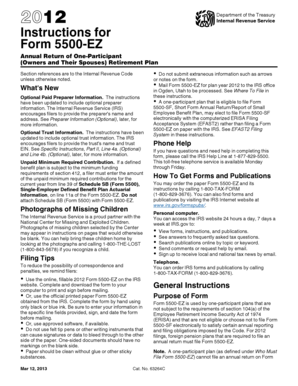 Form 5500-EZ Instructions
