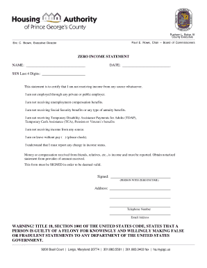 Zero Income Statement