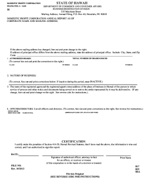 Hawaii Domestic Profit Corporation Annual Report