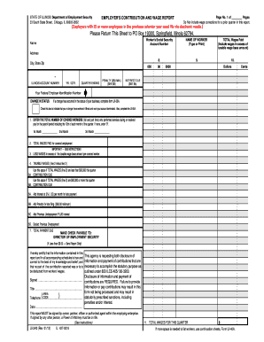 Illinois Employer Contribution and Wage Report