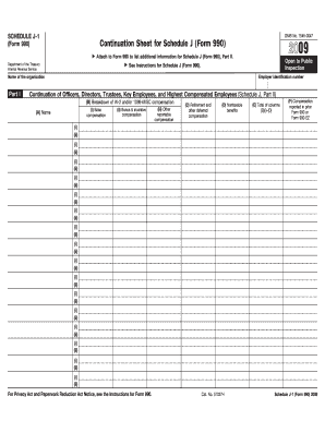 Schedule J-1 Form 990 Continuation Sheet