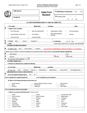 Massachusetts Substance Abuse Intake Form