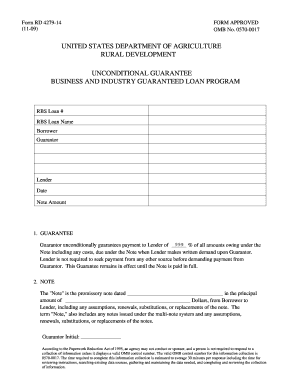 USDA Business and Industry Guaranteed Loan Unconditional Guarantee