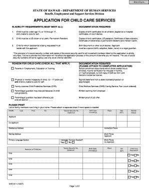 Hawaii Child Care Services Application