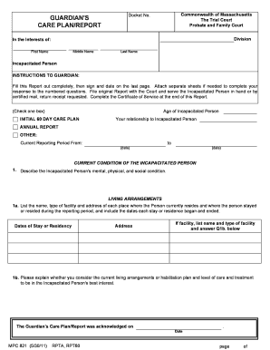 Massachusetts Guardian's Care Plan Report