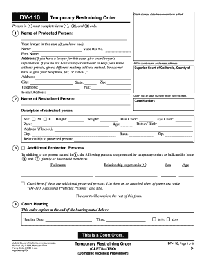 California Temporary Restraining Order Form DV-110
