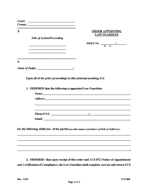 Order Appointing Law Guardian
