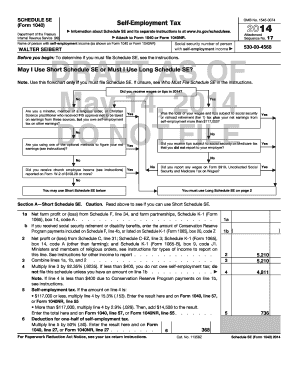 Schedule SE (Form 1040) Self-Employment Tax