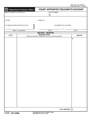 Court Appointed Fiduciary's Account Form