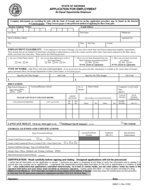 Georgia State Employment Application