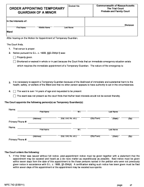 Temporary Guardian Appointment Order