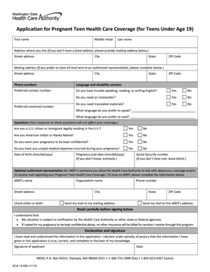 Pregnant Teen Health Care Coverage Application