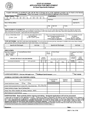 Georgia State Employment Application