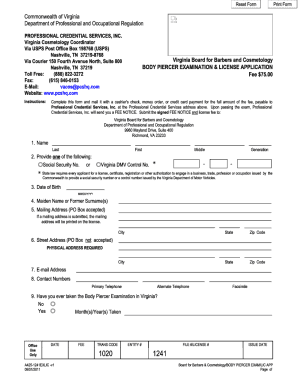 Form preview