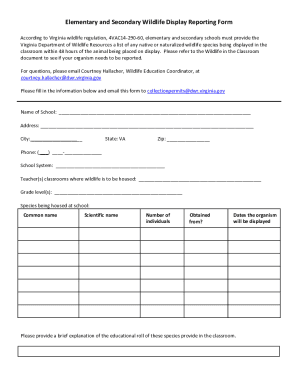 Form preview