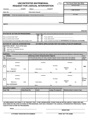 Fillable Online FORMS - RJI Forms (Request for Judicial Intervention ...