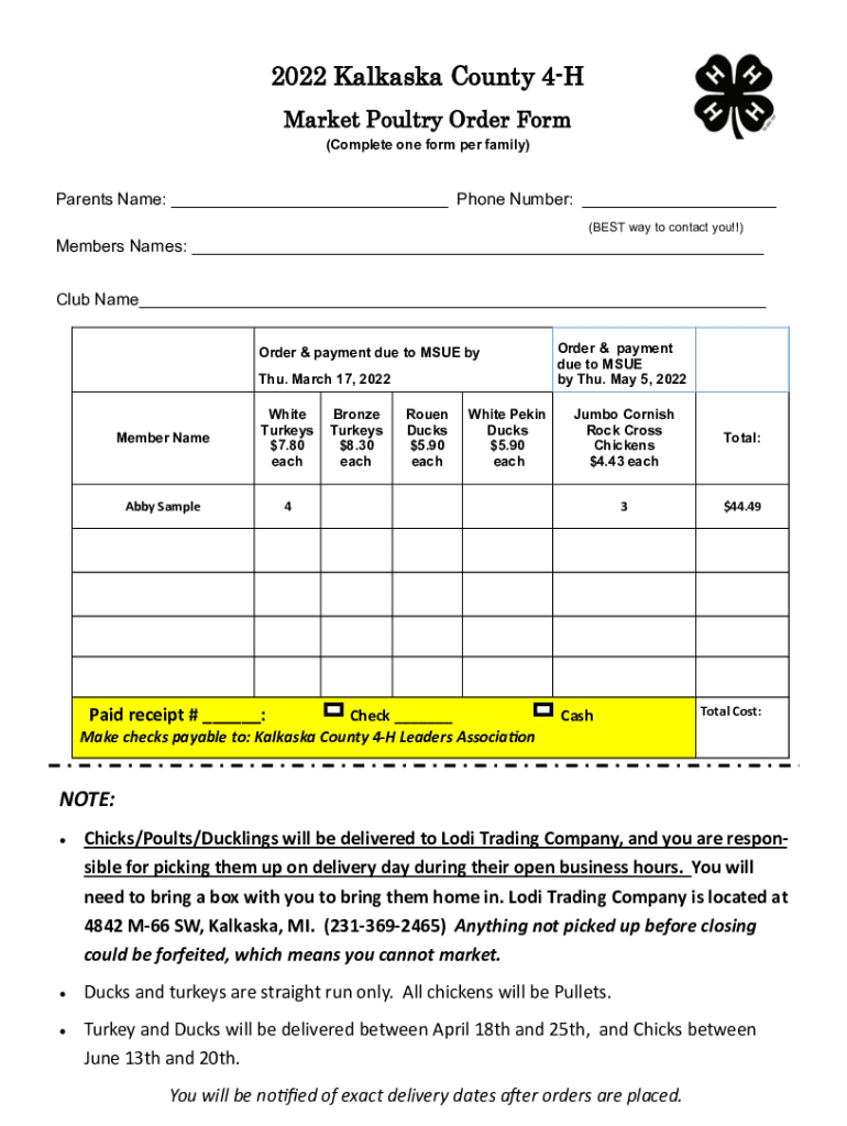 Form preview