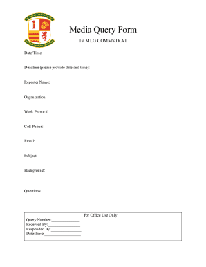 Media Query Form