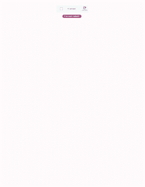 Fillable Online Auto Fill Today's date into a PDF form Fax Email Print ...
