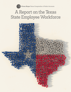 A Report on the Texas State Employee Workforce