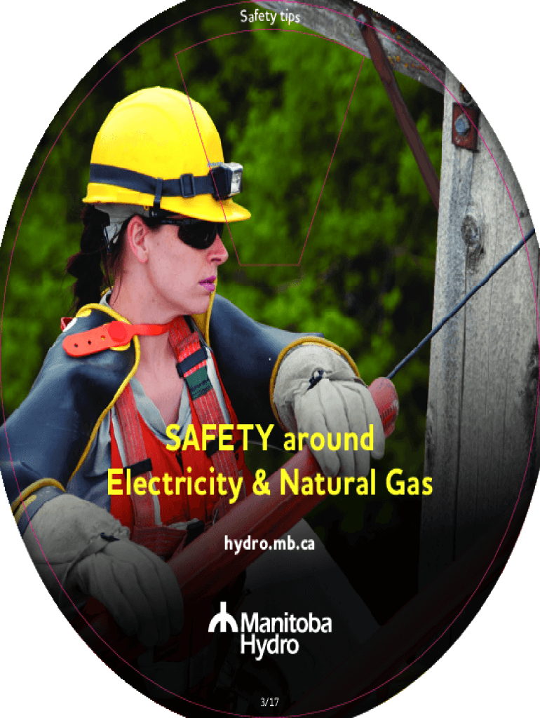 Fillable Online Stay Safe at Home with These 8 Electrical Safety Tips ...