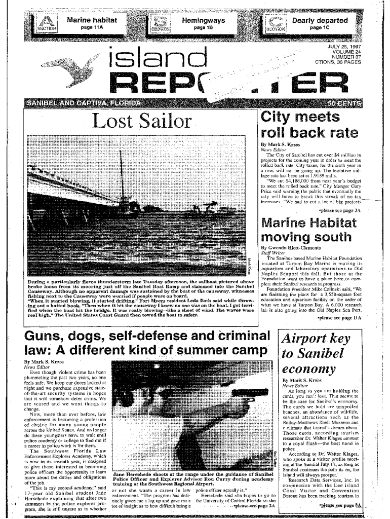 Fillable Online island REPC Fax Email Print - pdfFiller