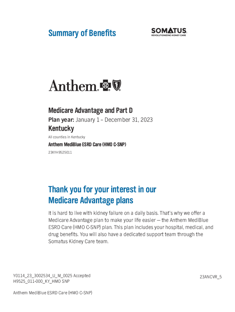 Fillable Online Health Maintenance Organization (HMO) Plan Summary Plan