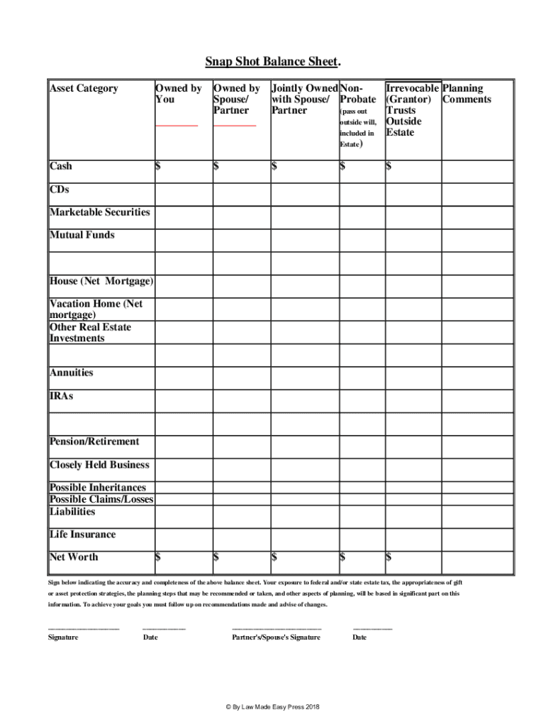 Fillable Online Snap Shot Balance Sheet Fax Email Print pdfFiller