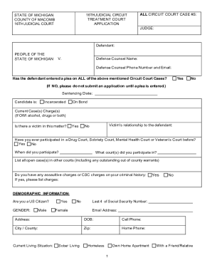 16th Judicial Circuit Court Treatment Courts Application ...