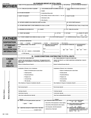 US Standard Report of Fetal Death