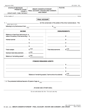 Michigan Minor Conservatorship Final Account
