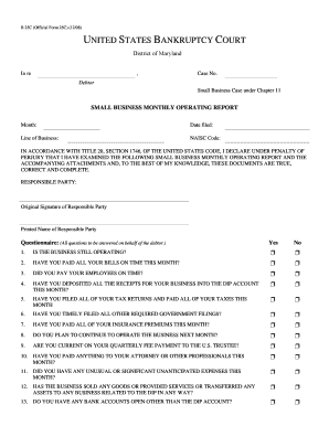 US Bankruptcy Court Small Business Monthly Operating Report