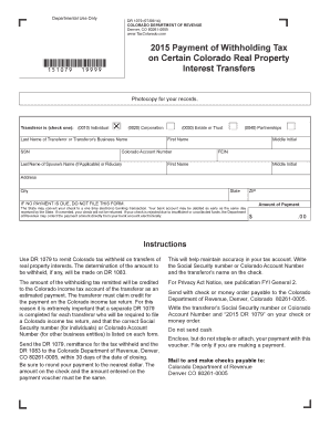 Colorado DR 1079 Form
