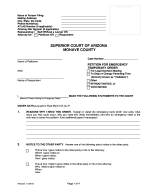 Arizona Emergency Temporary Order for Legal Decision Making