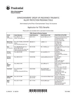 Servicemembers' Group Life Insurance Traumatic Injury Protection Claim Form