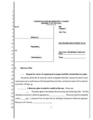 US Bankruptcy Court Standard Discovery Plan
