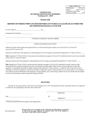 Form 6-K Report of Foreign Private Issuer