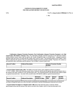 Chapter 13 Bankruptcy Plan Form 3015-1