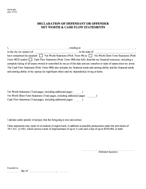 Declaration of Defendant or Offender Net Worth & Cash Flow Statements