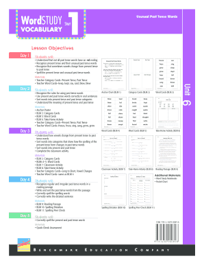 Unusual Past Tense Words Worksheet