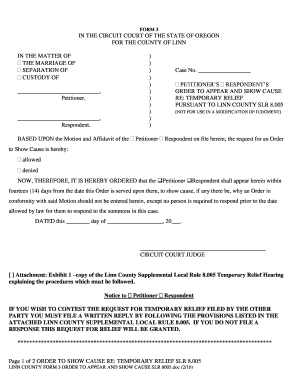 Order to Appear and Show Cause for Temporary Relief